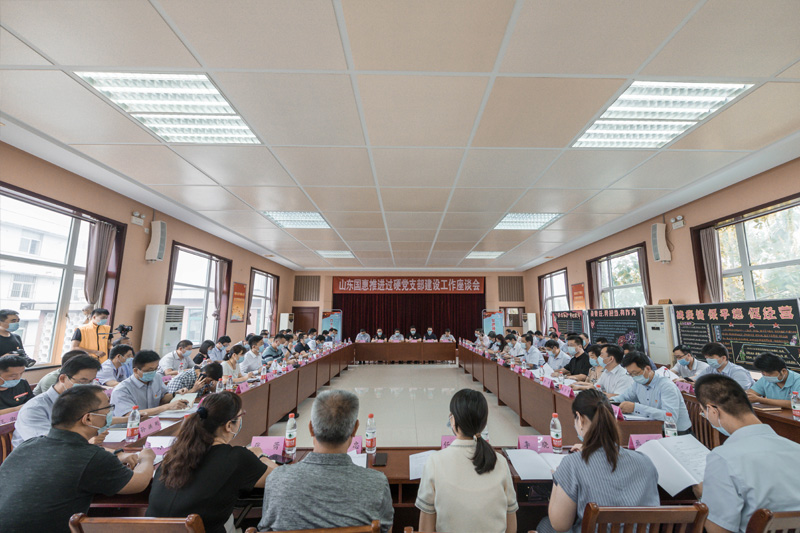 公司党委召开推进过硬党支部建设工作座谈会